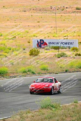 media/May-05-2024-Lucky Dog Racing (Sun) [[8a365fce5b]]/1030am-Turn 3/